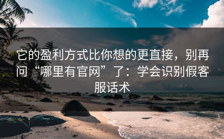它的盈利方式比你想的更直接，别再问“哪里有官网”了：学会识别假客服话术