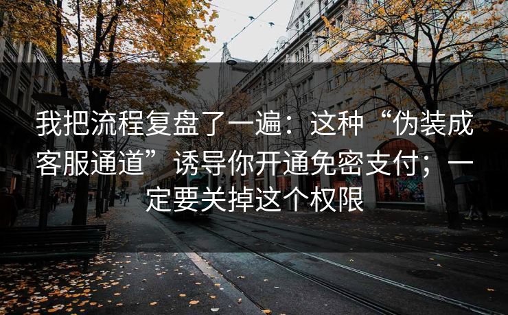 我把流程复盘了一遍：这种“伪装成客服通道”诱导你开通免密支付；一定要关掉这个权限