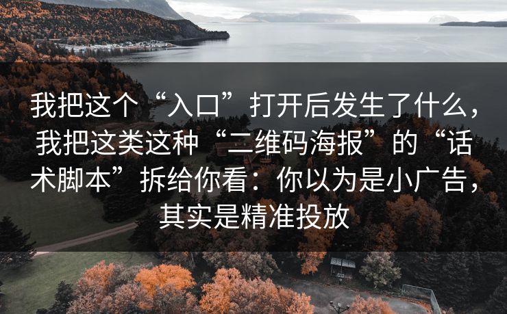 我把这个“入口”打开后发生了什么，我把这类这种“二维码海报”的“话术脚本”拆给你看：你以为是小广告，其实是精准投放