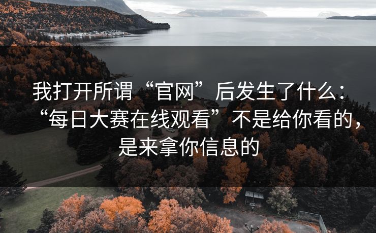 我打开所谓“官网”后发生了什么：“每日大赛在线观看”不是给你看的，是来拿你信息的