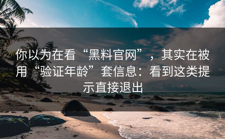 你以为在看“黑料官网”，其实在被用“验证年龄”套信息：看到这类提示直接退出