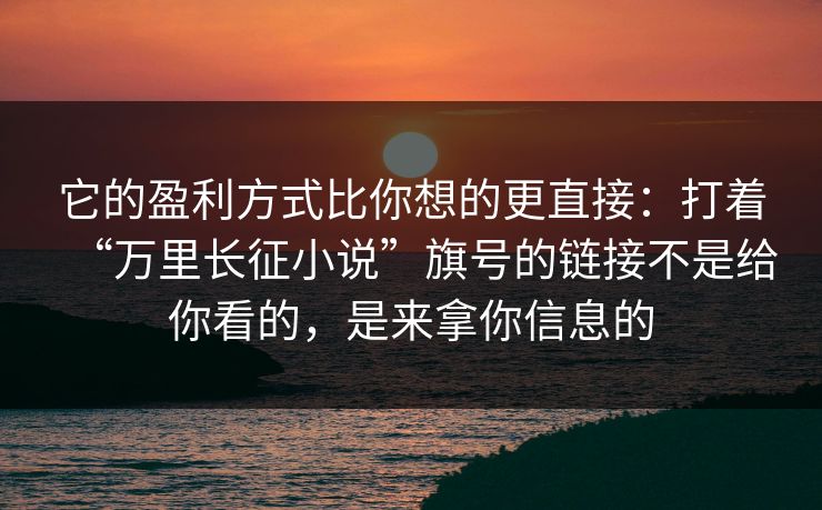 它的盈利方式比你想的更直接：打着“万里长征小说”旗号的链接不是给你看的，是来拿你信息的