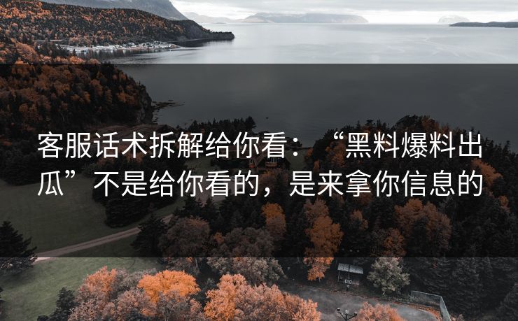 客服话术拆解给你看：“黑料爆料出瓜”不是给你看的，是来拿你信息的