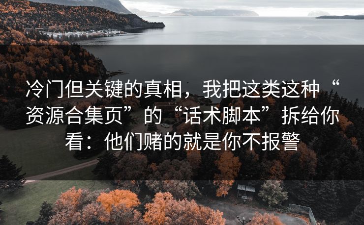 冷门但关键的真相，我把这类这种“资源合集页”的“话术脚本”拆给你看：他们赌的就是你不报警